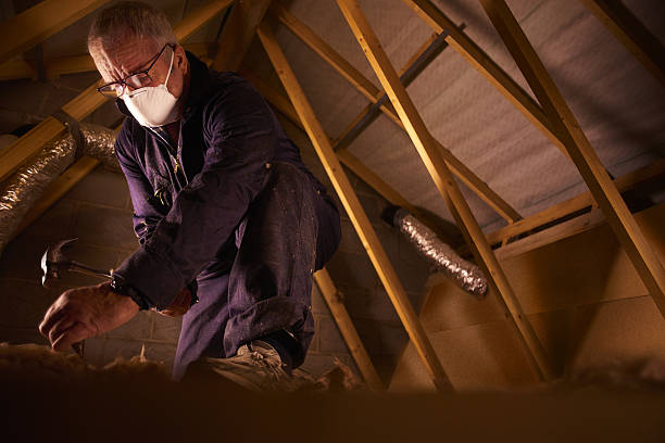Best Insulation for New Construction  in Shark River Hills, NJ